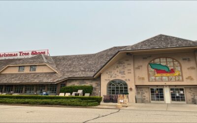 Christmas Tree shop anuncia cierre de sus tiendas y rebajas por liquidación