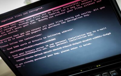 Desarticulan en Florida una red de ciberdelitos que operaba en la web oscura