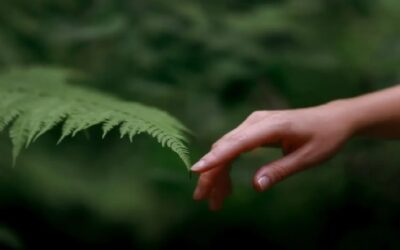 Pasar tiempo en la naturaleza te ayudará con tu salud mental