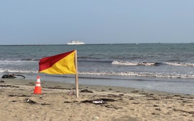 DEM alerta a bañistas luego de encontrar jeringas en Playa East Matunuck