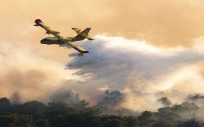 Papa pide más acciones para combatir cambio climático, mientras incendios arden en sur de Europa