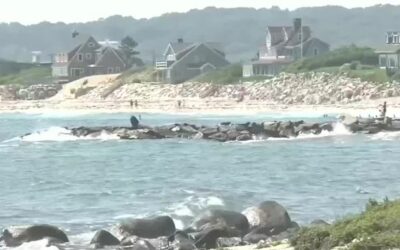 Encuentran cuerpo de adolescente desaparecido en aguas de la Playa Dunes Park