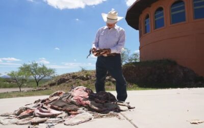 Cada vez más migrantes cruzan la frontera por su tramo más peligroso a pesar del calor extremo y las peligrosas tormentas