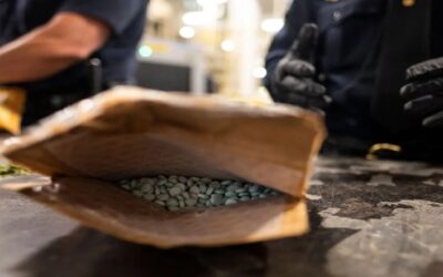 Jefe antidrogas de EE.UU., Todd Robinson, asegura que el fentanilo sí se produce en México