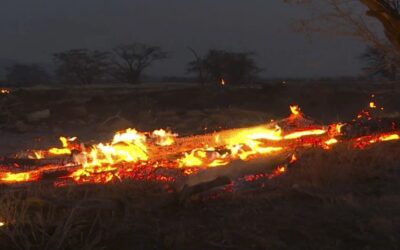 Gobernador: Asciende a 53 el número de muertos por incendios en Maui