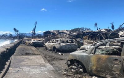 Hawaii eleva a 96 los muertos por los incendios forestales y aún se buscan a cientos de desaparecidos