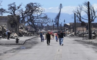 Cables eléctricos caídos, posible causa de los mortíferos incendios en Hawai