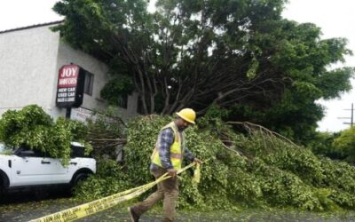 Un fuerte terremoto de magnitud 5.1 sacude el sur de California en medio de la tormenta Hilary