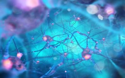 Científicos descubren una nueva célula en el cerebro clave para luchar contra el alzhéimer: de qué se trata