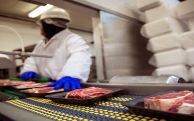 Minnesota: Multan a planta procesadora de carne por contratar a menores