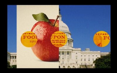 Los cupones de comida centran una batalla en el Congreso que podría provocar nuevos recortes en las ayudas SNAP para alimentos