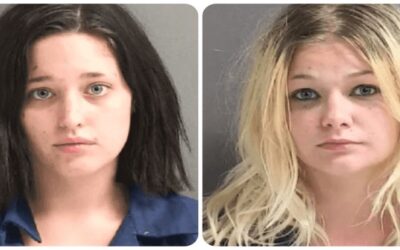 Mujeres borrachas y semidesnudas lanzaron a bebé de arriba a abajo como “juguete” en exterior de bar de Florida