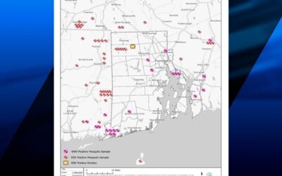 RIDOH: muestras en Central Falls contienen Virus Nilo Occidental