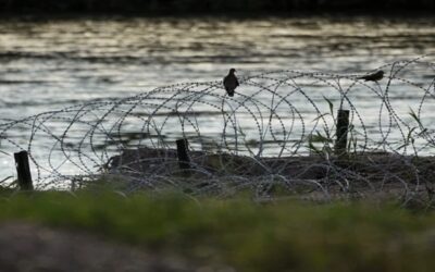 Jueza ordena a agentes federales dejar de cortar alambre de púas en cruce fronterizo con México