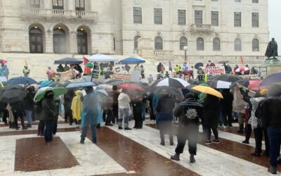 Providence : Cientos marchan en manifestación “Todos por Palestina”