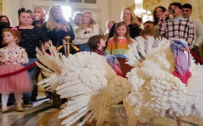 Biden celebra su cumpleaños 81 honrando tradición de la Casa Blanca de perdonar a los pavos de Acción de Gracias