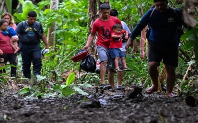 Más de 500,000 migrantes cruzaron la peligrosa selva de Darién en 2023, en su gran mayoría para llegar a EE.UU.