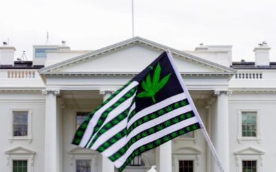 Biden indulta a miles de condenados por cargos de marihuana en tierras federales y en Washington