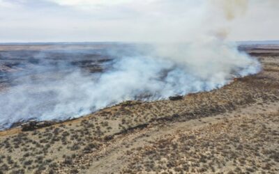 Bomberos enfrentan condiciones climáticas adversas ante el mayor incendio en la historia de Texas