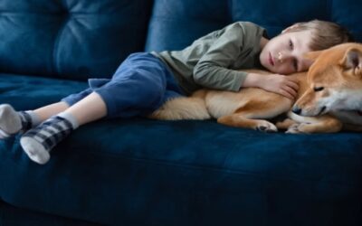 Autismo: tener un perro puede ayudar a los niños a conciliar el sueño
