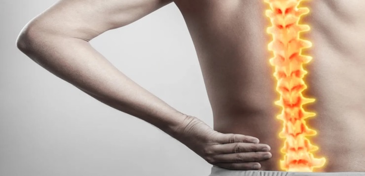 Células madre pueden recuperar tejidos de la médula espinal
