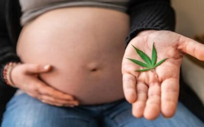 Cannabis durante el embarazo y su vínculo con el autismo