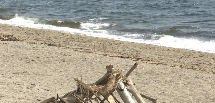 Autoridades investigan luego de encontrar cuerpo de tercer perro varado en playa de Barrington.