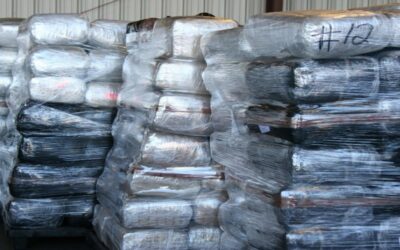 Trump descarta a Haley como posible candidata a vicepresidenta