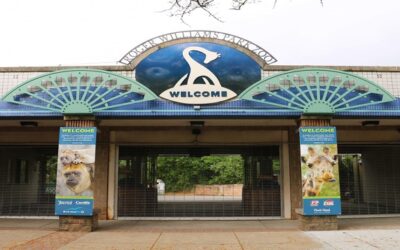 Zoológico del Parque Roger Williams