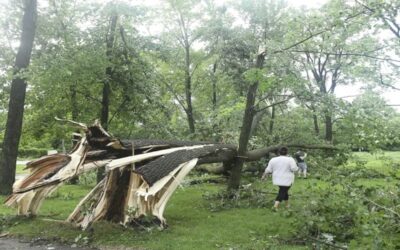Un tornado golpea Michigan y mata a un niño; tormentas en Ohio y Maryland dejan 13 heridos