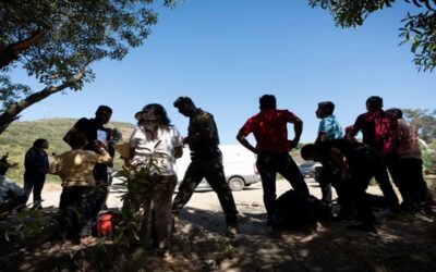 ONG en México instan a migrantes a no cruzar a Estados Unidos y evitar deportaciones