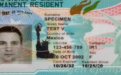 Qué evidencia necesitan indocumentados para solicitar la Green Card bajo nueva orden de Biden