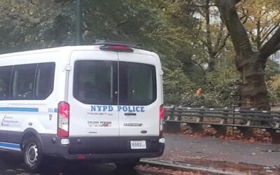 Niño de 11 años arrestado: alarma por 222% más robos en Central Park de Nueva York