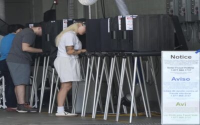 Medidas en boletas de 41 estados dan voz a votantes sobre aborto y otros asuntos difíciles en EEUU