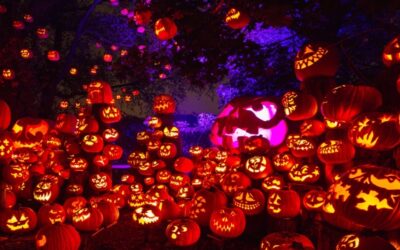 Jack-O-Lantern Spectacular – Roger Williams Park Zoo