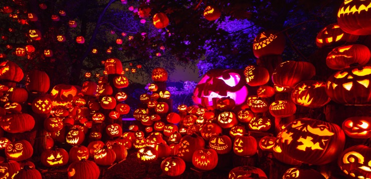 Jack-O-Lantern Spectacular – Roger Williams Park Zoo