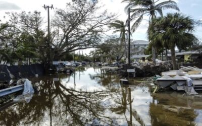 Huracán Milton provoca 16 muertes y deja daños por USD 50.000 millones en EEUU