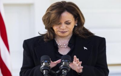 Investigan la quema y el robo de papeletas electorales en Arizona y Florida