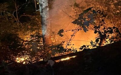 Bomberos logran contener incendio forestal