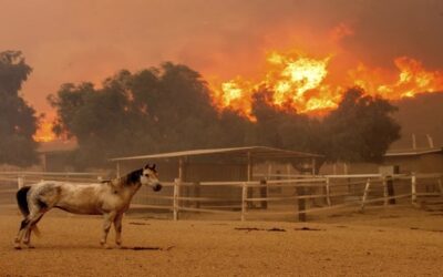 Bomberos del sur de California avanzan contra incendio mientras fuertes vientos disminuyen