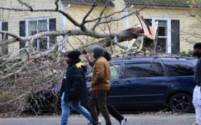 Lluvia y nieve azotan norte de California; persiste oleada de mal tiempo en la costa oeste de EEUU