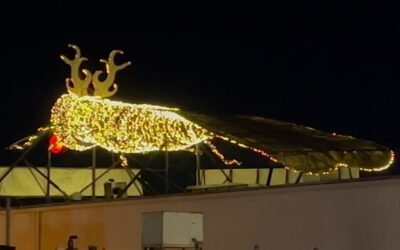 Continua la tradición Nibbles Wooday enciende sus luces navideñas.