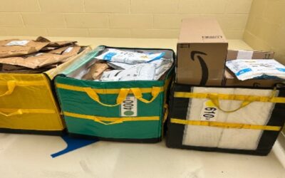 Condutor de Amazon dejó decenas de paquetes en una zona boscosa.