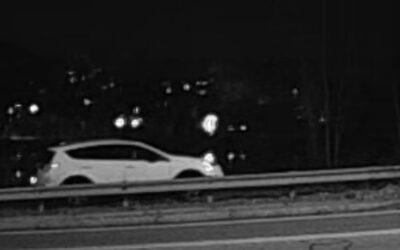 PETA ofrece recompensa por información que lleve a la persona que dejó un perro en una bolsa.