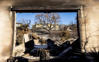 Demanda alega que equipo de empresa eléctrica Edison causó incendio en Los Ángeles