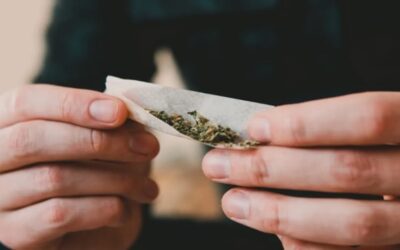 Hospitalizaciones relacionadas con el consumo de cannabis entre adultos mayores han aumentado