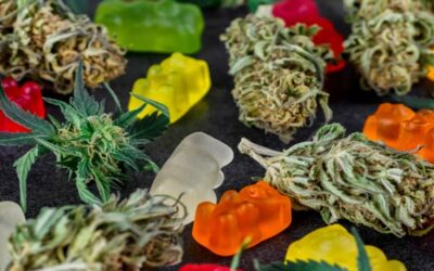 Fumar marihuana y comer gomitas de cannabis si representa riesgos para la salud: estudio
