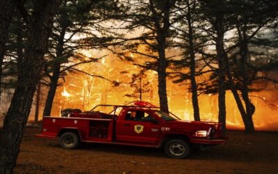 Acusan a segundo adolescente de incendio intencional en área natural Pine Barrens de Nueva Jersey