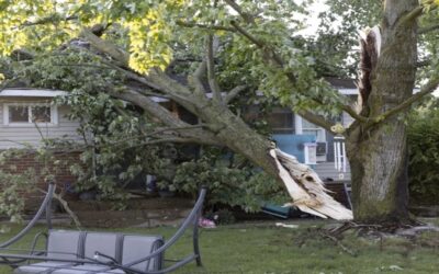 Fuertes tormentas dejan por lo menos 4 muertos y graves daños en San Luis, Missouri, dice alcaldesa