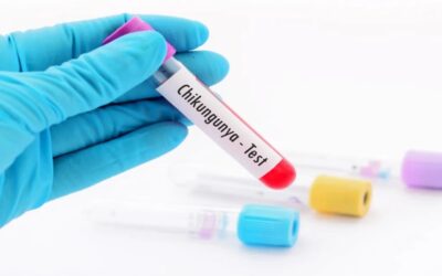 Advierten a adultos mayores que no reciban la vacuna contra el chikungunya: por qué